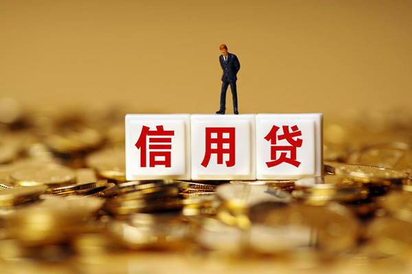 成都30个人创业贷款-成都30民间小额借贷-成都30小额空放